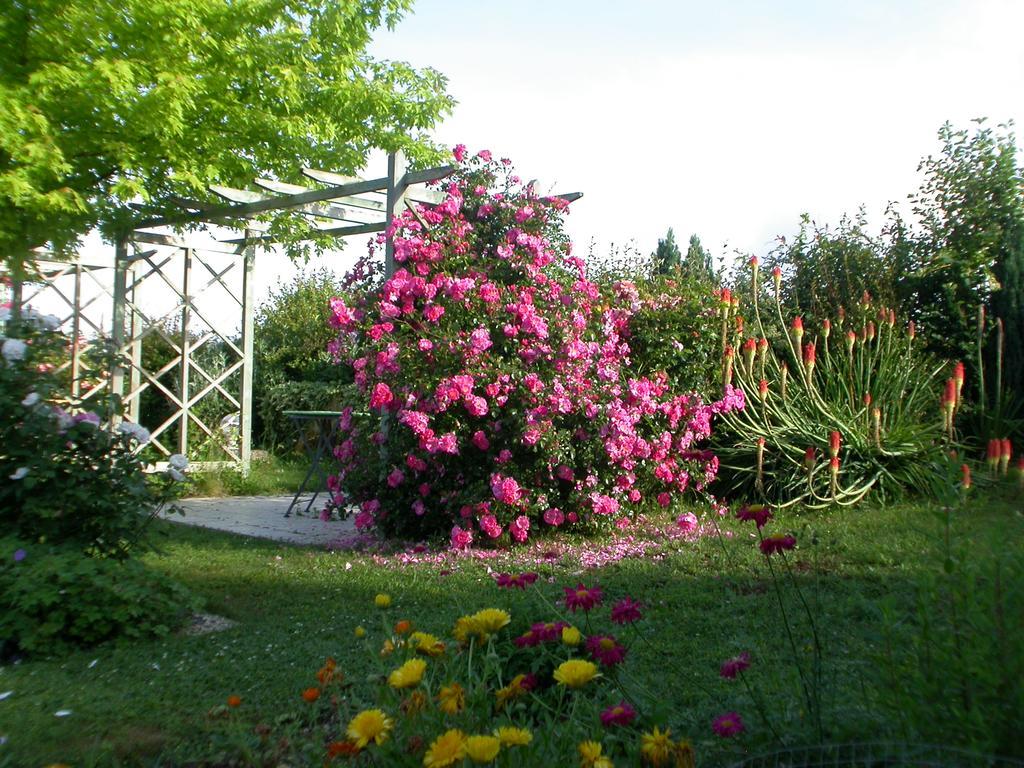 Chambres D'Hotes L'En Haut Des Vignes Mérignac 外观 照片